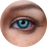 【Maxシリーズ】Erovenus LN-T-003 Savannah&Rikoヘッド エロ人形トルソダッチワイフ シリコン材質 超リアル全身トルソ