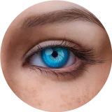 【Maxシリーズ】Erovenus LN-T-003 Savannah&Rikoヘッド エロ人形トルソダッチワイフ シリコン材質 超リアル全身トルソ