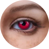 【Maxシリーズ】Erovenus LN-T-160T&Chloeヘッド トルソー型 半身ドール シリコン材質 超リアル全身トルソ