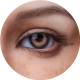 【Maxシリーズ】Erovenus LN-T-003 Savannah&Rikoヘッド エロ人形トルソダッチワイフ シリコン材質 超リアル全身トルソ