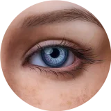 【Maxシリーズ】Erovenus LN-T-160T&Chloeヘッド トルソー型 半身ドール シリコン材質 超リアル全身トルソ