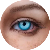 【Maxシリーズ】Erovenus LN-T-003 Savannah&Rikoヘッド エロ人形トルソダッチワイフ シリコン材質 超リアル全身トルソ