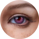 【Maxシリーズ】Erovenus LN-T-160T&Chloeヘッド トルソー型 半身ドール シリコン材質 超リアル全身トルソ