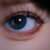 JigglyJoy 71cm JJ12トルソー＆JH14ヘッド シリコン 超リアル トルソーラブドール 欧米系