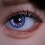 JigglyJoy 71cm JJ12トルソー＆JH14ヘッド シリコン 超リアル トルソーラブドール 欧米系