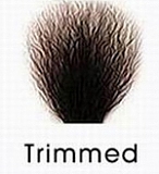 JigglyJoy 71cm JJ12トルソー＆JH14ヘッド シリコン 超リアル トルソーラブドール 欧米系