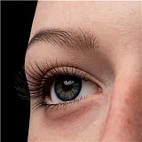 ZELEX ホワイト肌色ヘッド単体 トルソーと組み合わせ シリコン材質 欧米風