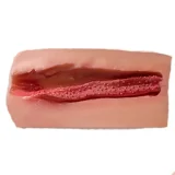 sino doll  B49 47CMトルソー シリコン製  コスパ高いラブドールトルソー ヘッドと取り付けできない