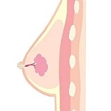 11月15日まで新作キャンペーン Top Sino Doll 96cmトルソー T43b 米苏（Misu）ヘッド 「アートワークメイク版」人魚コスプレ シリコン製 高級ドールトルソー