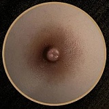 11月15日まで新作キャンペーン Top Sino Doll 96cmトルソー T43b 米苏（Misu）ヘッド 「アートワークメイク版」人魚コスプレ シリコン製 高級ドールトルソー