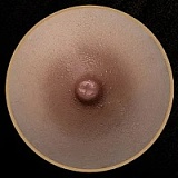 11月15日まで新作キャンペーン Top Sino Doll 96cmトルソー T25ヘッド 「アートワークメイク版」シリコン製 高級ラブドールトルソー 欧米風