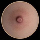 11月15日まで新作キャンペーン Top Sino Doll 96cmトルソー T25ヘッド 「アートワークメイク版」シリコン製 高級ラブドールトルソー 欧米風