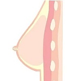 11月15日まで新作キャンペーン Top Sino Doll 96cmトルソー T25ヘッド 「アートワークメイク版」シリコン製 高級ラブドールトルソー 欧米風