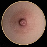 11月15日まで新作キャンペーン Top Sino Doll 96cmトルソー T25ヘッド 「アートワークメイク版」シリコン製 高級ラブドールトルソー 欧米風