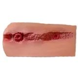 Sino Doll 70cm 戦闘機トルソー S57凛缃(Linxiang)ヘッド シリコン製 花姫 トルソードール