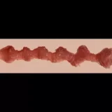 ZELEX ZX84Jトルソー&ZXE201-5ヘッド 腕付きトルソー シリコン材質 フェラ可能 欧米ドール オナホール