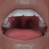 ZELEX ZX84Jトルソー&ZXE201-5ヘッド 腕付きトルソー シリコン材質 フェラ可能 欧米ドール オナホール