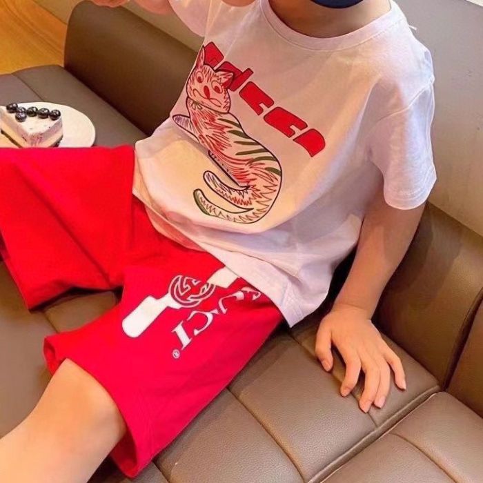 T-shirt + Shorts suit Kids set clothes, no box, CL25-931