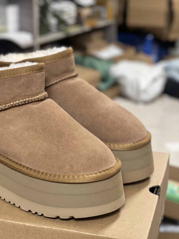 Men and Women Tazz  shoes, size 35-44, SS70-70