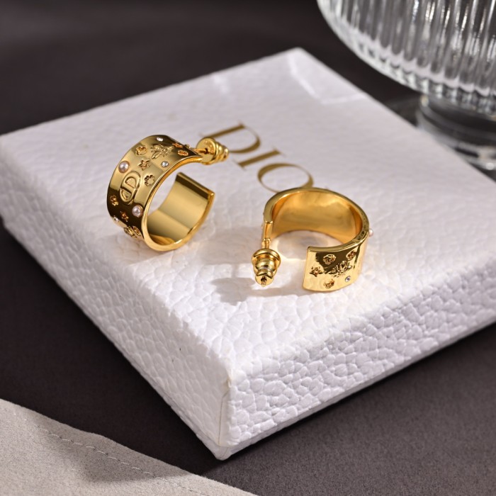Earring  jewelry ,with box,  J25-145