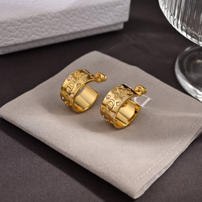 Earring  jewelry ,with box,  J25-145