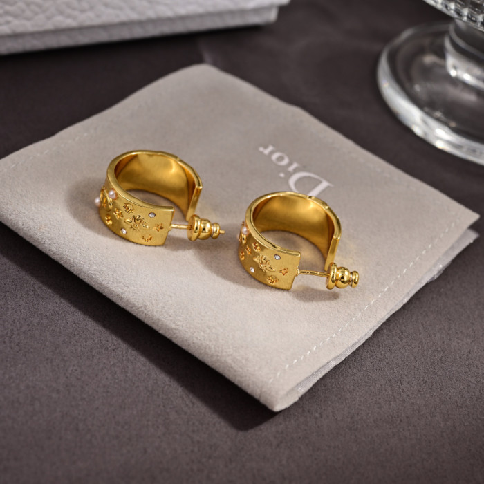 Earring  jewelry ,with box,  J25-145