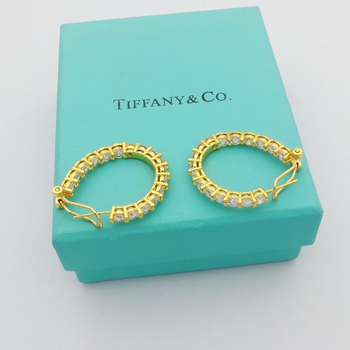Earring jewelry ,with box,  J25-152