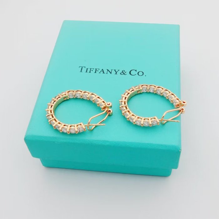 Earring jewelry ,with box,  J25-152