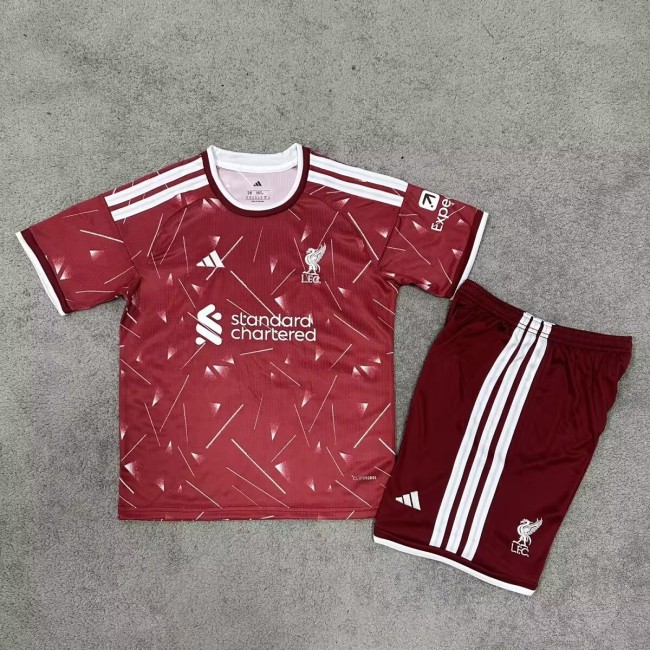 Adult jerseys and Kid's quick-drying football jersey, A set of top and shorts, CL25-448