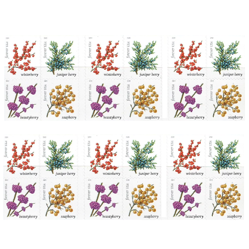 Winter Berries 2019 - 5 Booklets / 100 Pcs