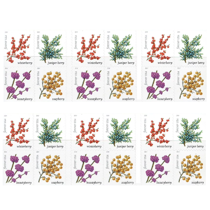 Winter Berries 2019 - 5 Booklets / 100 Pcs