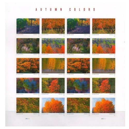 Autumn Colors 2024 - 5 Sheets / 100 Pcs