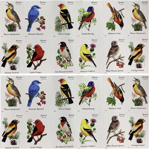 Song Birds 2014 - 5 Booklets / 100 Pcs