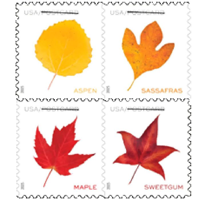 Vibrant Leaves Postcard 2025 - 5 Sheets / 100 Pcs