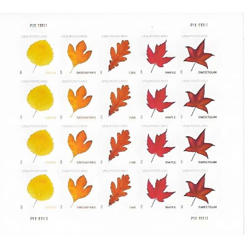 Vibrant Leaves Postcard 2025 - 5 Sheets / 100 Pcs
