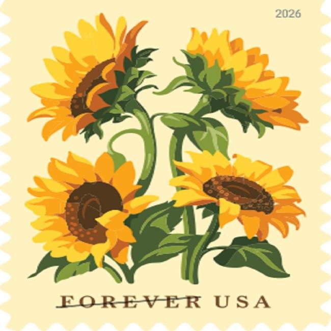 Sunflowers 2026 - 5 Booklets / 100 Pcs