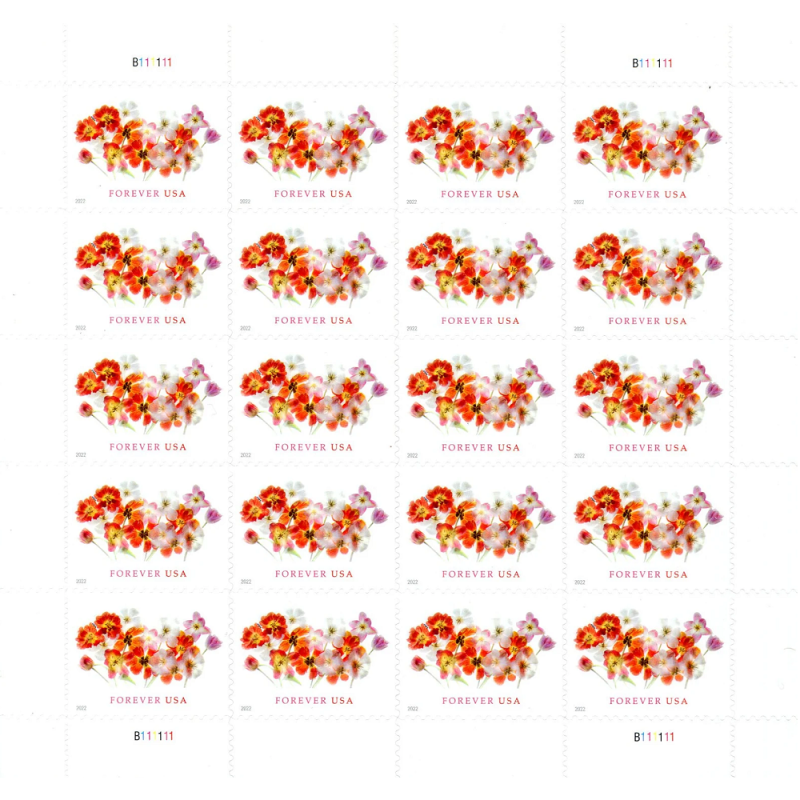 Tulips 2022 - 5 Sheets / 100 Pcs