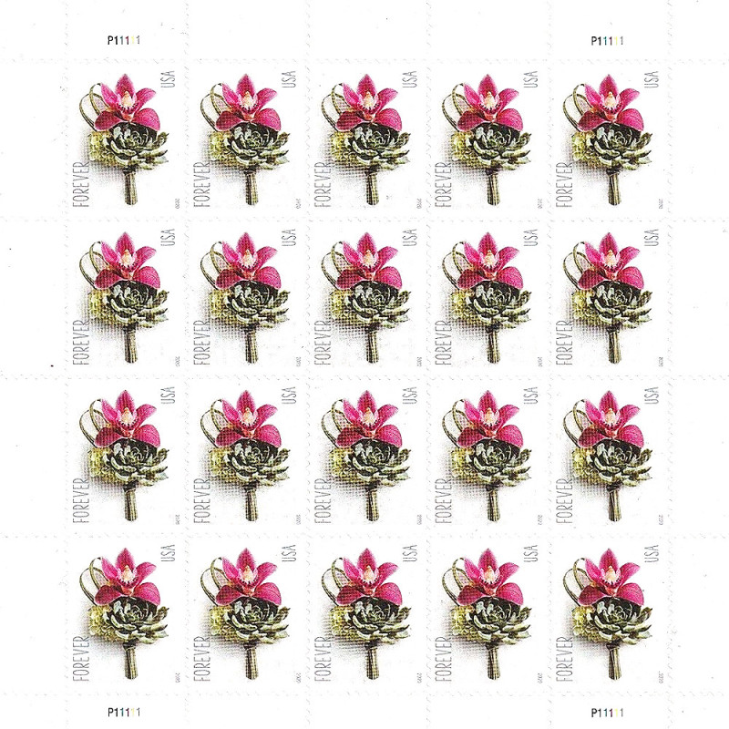 Contemporary Boutonniere 2020 - 5 Sheets / 100 Pcs