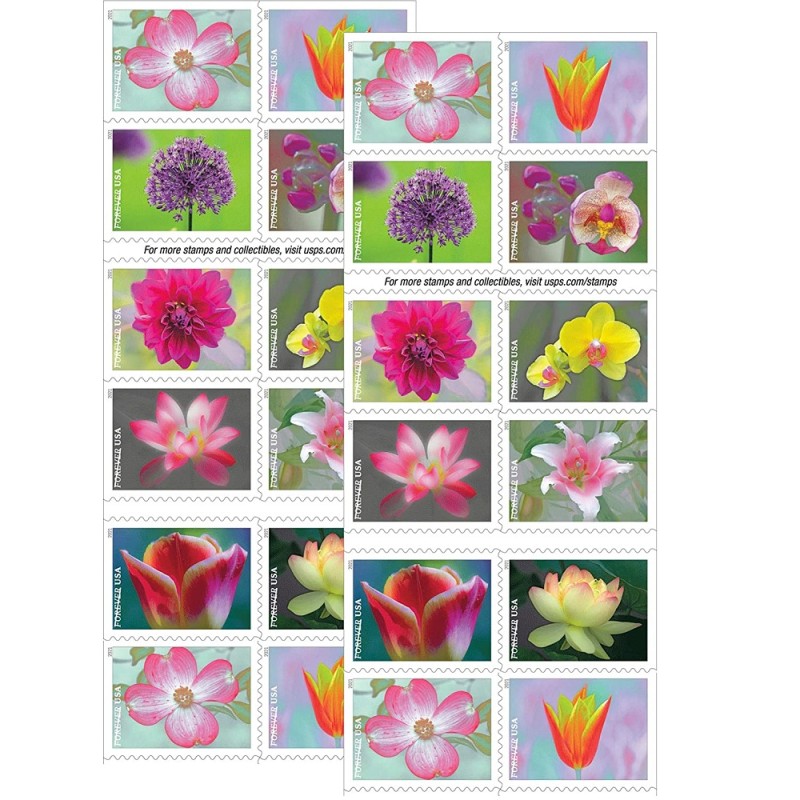 Garden Beauty 2021 - 5 Booklets / 100 Pcs