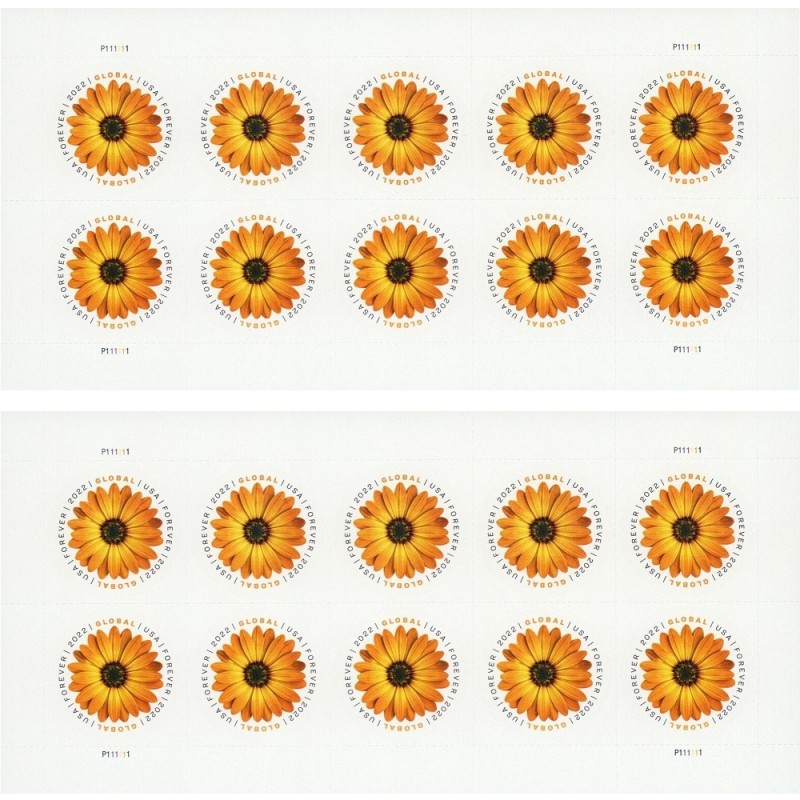 Global African Daisy 2022 - 5 Sheets / 50 Pcs