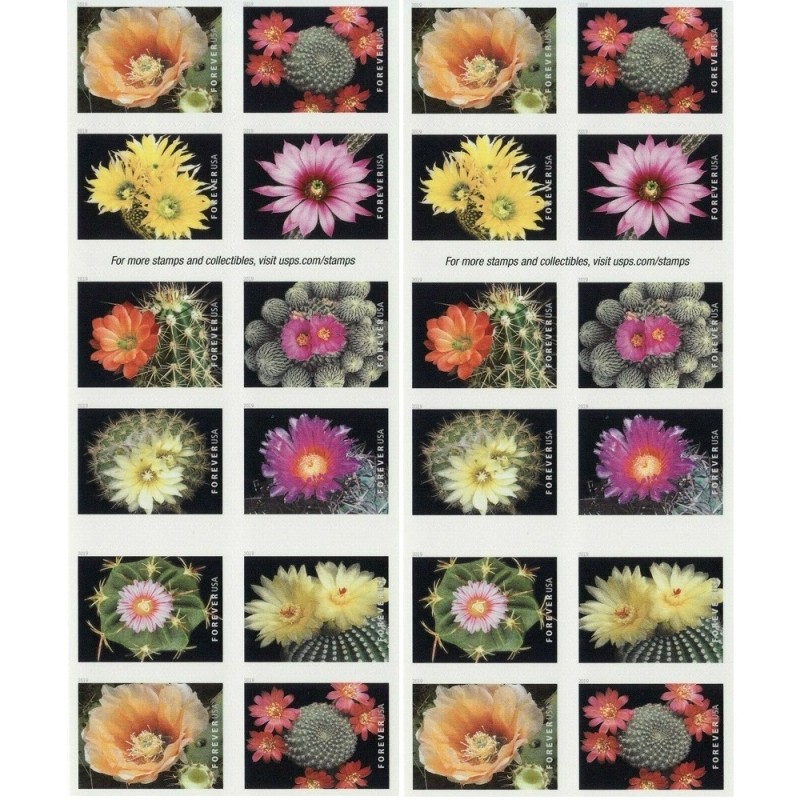 Cactus Flowers 2019 - 5 Booklets / 100 Pcs