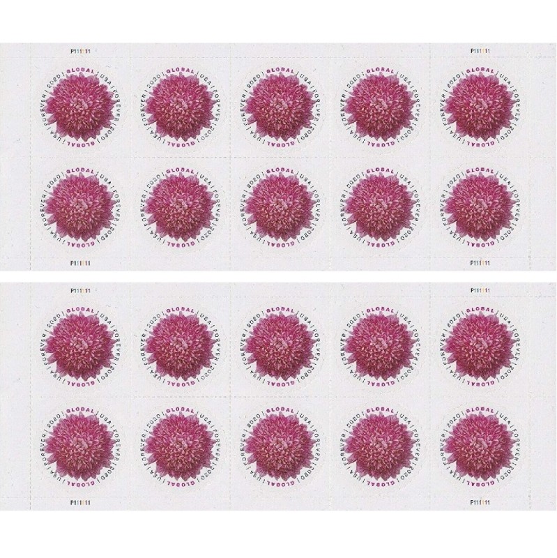 Global Chrysanthemum 2020 - 5 Sheets / 50 Pcs