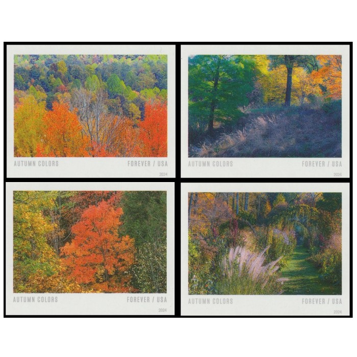 Autumn Colors 2024 - 5 Sheets / 100 Pcs