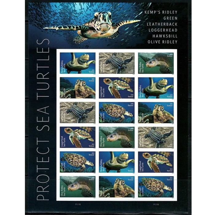 Protect Sea Turtles 2024 - 5 Sheets / 90 Pcs
