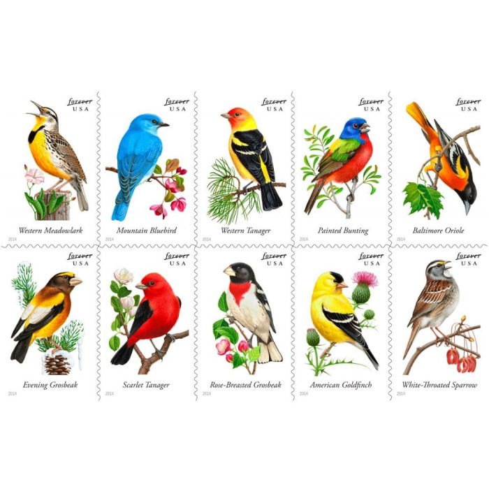Song Birds 2014 - 5 Booklets / 100 Pcs