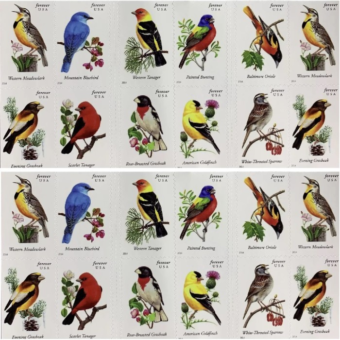 Song Birds 2014 - 5 Booklets / 100 Pcs