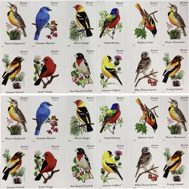 Song Birds 2014 - 5 Booklets / 100 Pcs