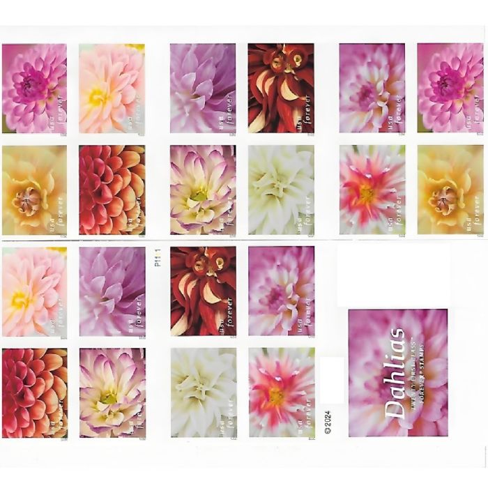 Dahlias 2025 - 5 Booklets / 100 Pcs