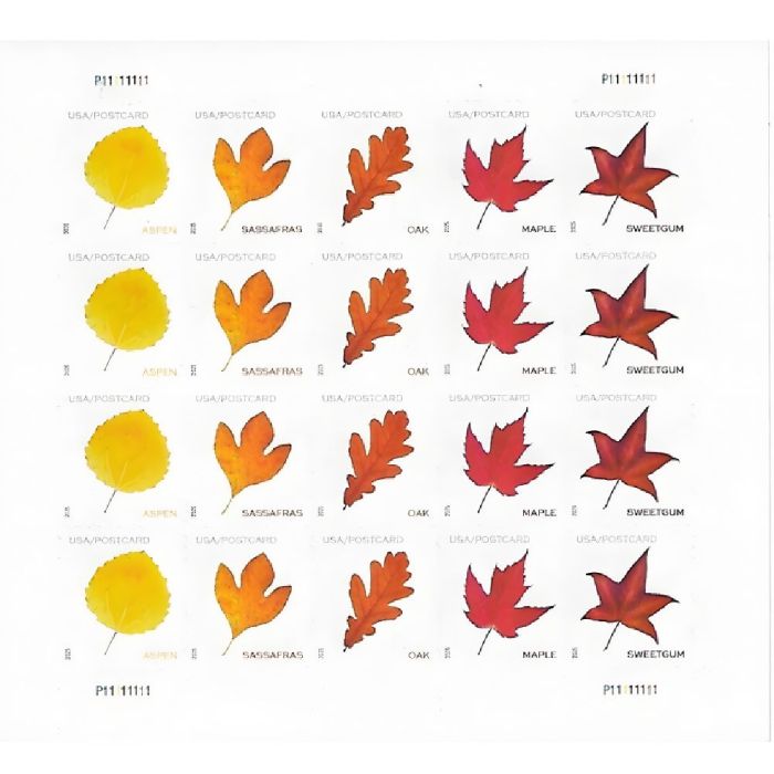 Vibrant Leaves postcard 2025 - 5 Sheets / 100 Pcs