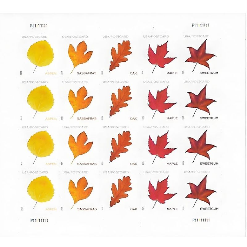 Vibrant Leaves postcard 2025 - 5 Sheets / 100 Pcs